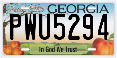 GA license plate PWU5294