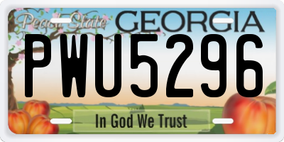 GA license plate PWU5296