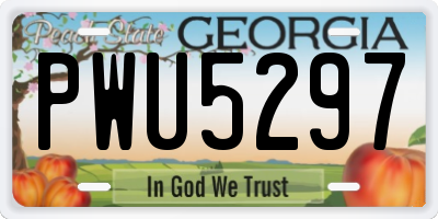 GA license plate PWU5297