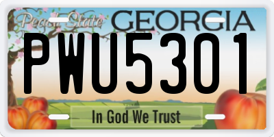 GA license plate PWU5301