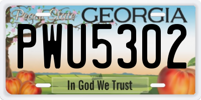 GA license plate PWU5302