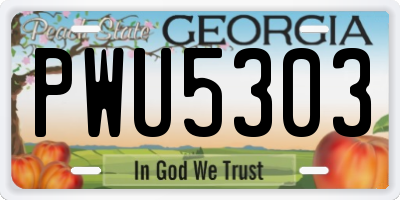 GA license plate PWU5303