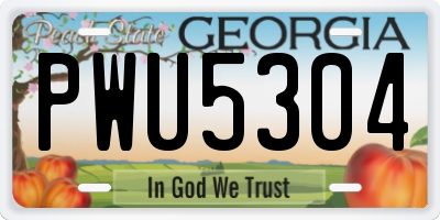 GA license plate PWU5304