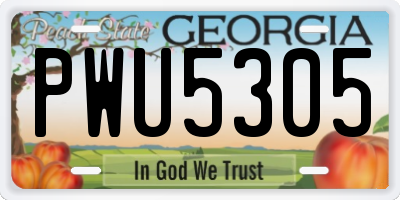 GA license plate PWU5305