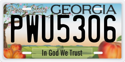 GA license plate PWU5306