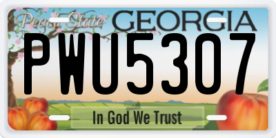GA license plate PWU5307