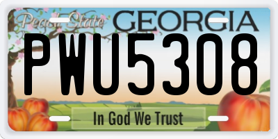 GA license plate PWU5308