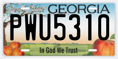 GA license plate PWU5310