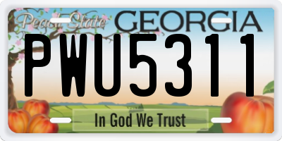 GA license plate PWU5311