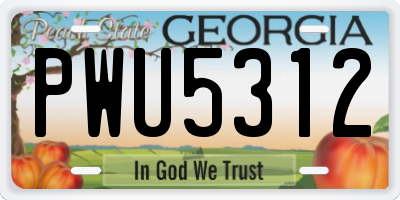 GA license plate PWU5312