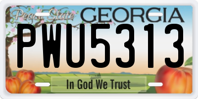 GA license plate PWU5313