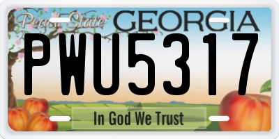 GA license plate PWU5317