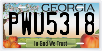 GA license plate PWU5318