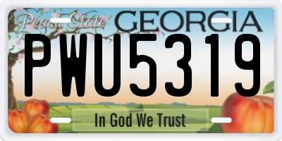 GA license plate PWU5319
