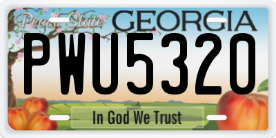 GA license plate PWU5320