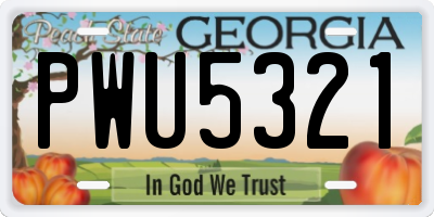 GA license plate PWU5321