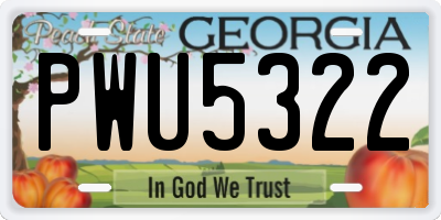 GA license plate PWU5322