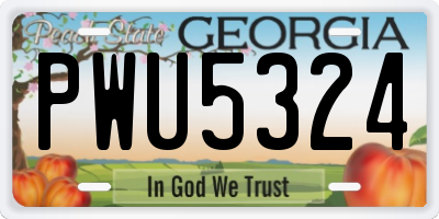 GA license plate PWU5324