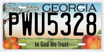 GA license plate PWU5328