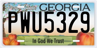 GA license plate PWU5329