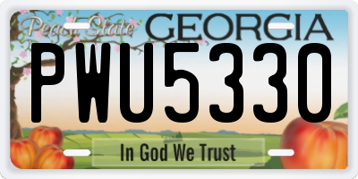 GA license plate PWU5330
