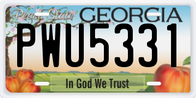 GA license plate PWU5331
