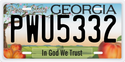 GA license plate PWU5332