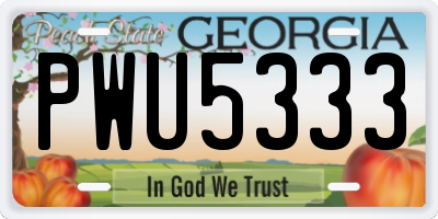 GA license plate PWU5333