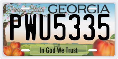 GA license plate PWU5335