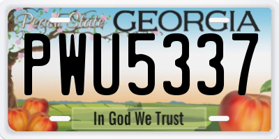GA license plate PWU5337