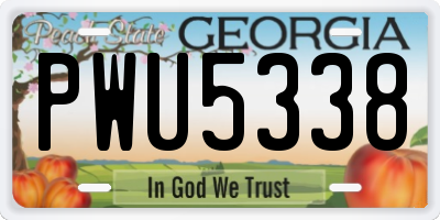 GA license plate PWU5338