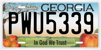 GA license plate PWU5339