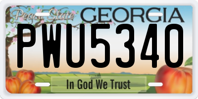 GA license plate PWU5340