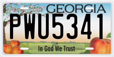 GA license plate PWU5341