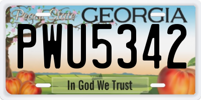 GA license plate PWU5342