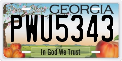 GA license plate PWU5343