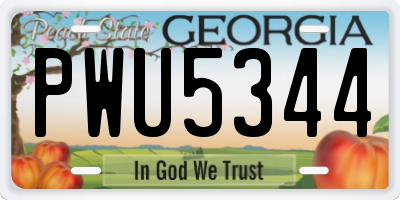 GA license plate PWU5344