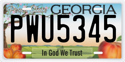 GA license plate PWU5345
