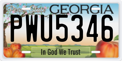 GA license plate PWU5346