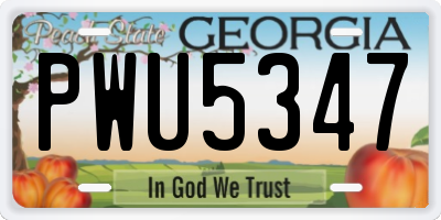 GA license plate PWU5347