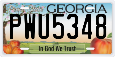 GA license plate PWU5348