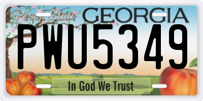 GA license plate PWU5349