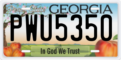 GA license plate PWU5350