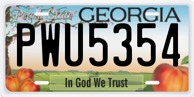 GA license plate PWU5354