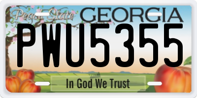 GA license plate PWU5355