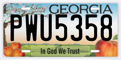 GA license plate PWU5358