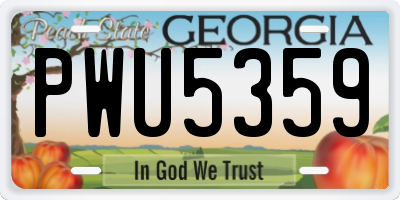 GA license plate PWU5359