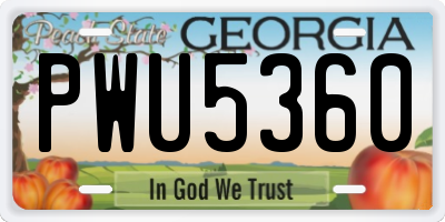 GA license plate PWU5360