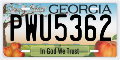 GA license plate PWU5362