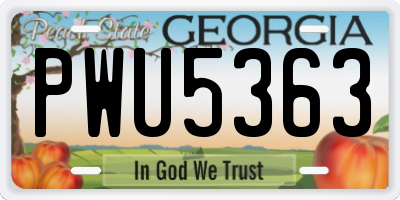 GA license plate PWU5363